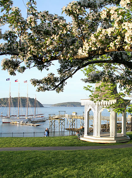 Looking out over the harbor in Bar Harbor Maine during the spring.