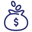 Coins in bag icon