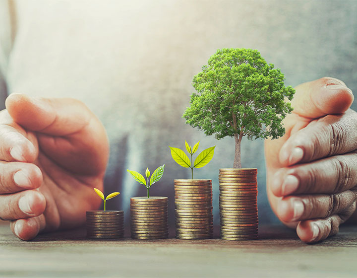 money growth