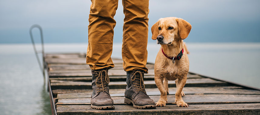 person on dock with small dog